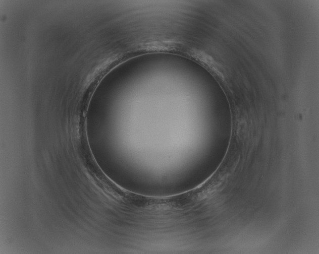 X0000074320299200608251307