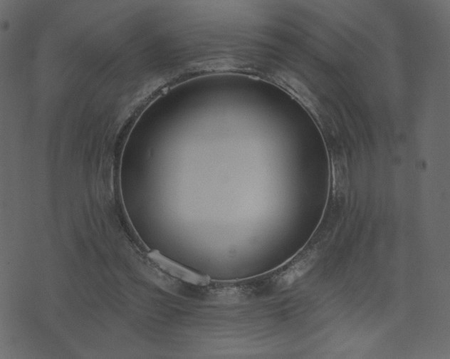 X0000074320301200608251307