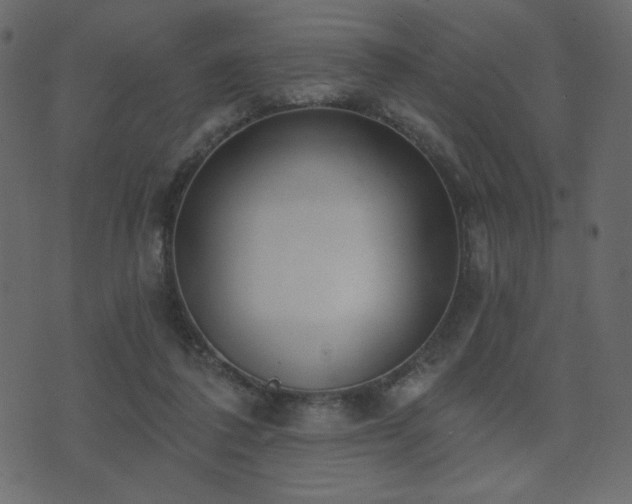 X0000074320308200608251307