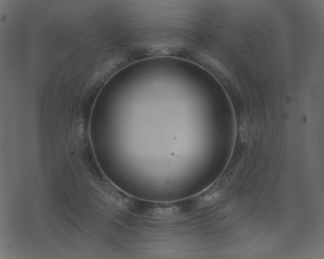 X0000074320314200608251307