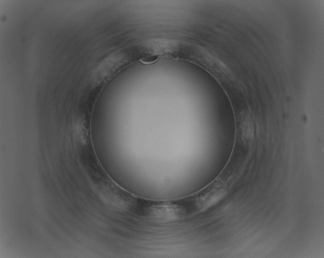 X0000074320316200608251307