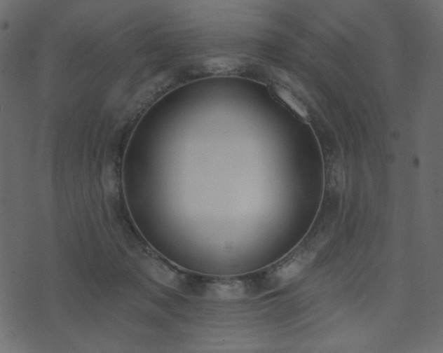 X0000074320317200608251307