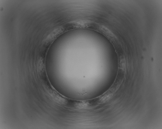 X0000074320318200608251307