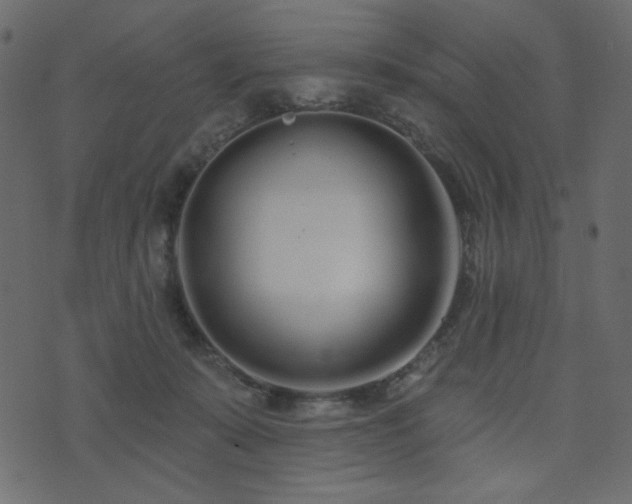 X0000074320319200608251307