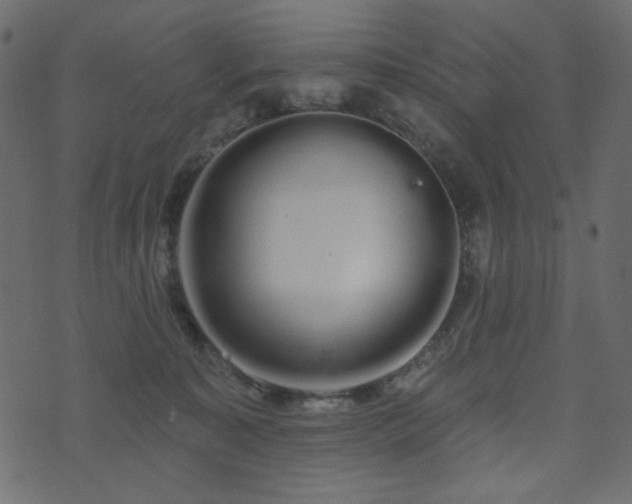 X0000074320323200608251307