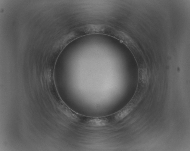 X0000074320326200608251307