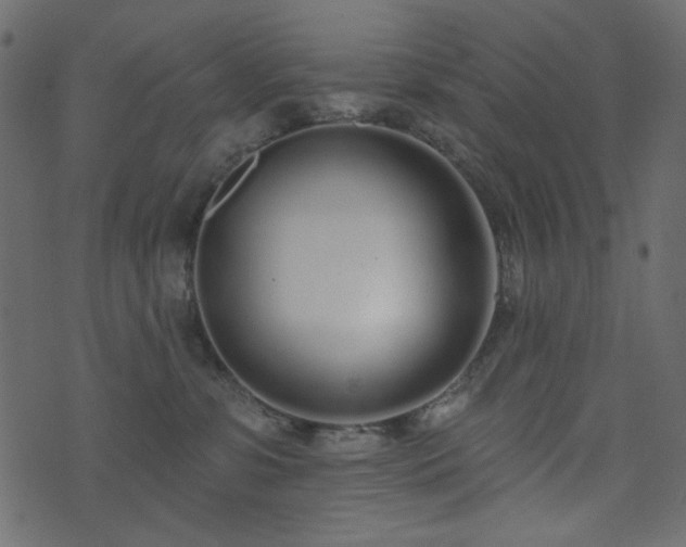 X0000074320331200608251307