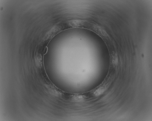 X0000074320332200608251307