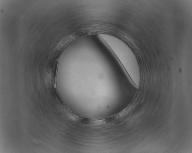 X0000074320333200608251307