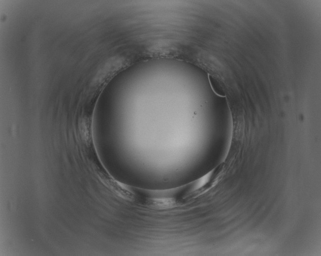 X0000074320335200608251307
