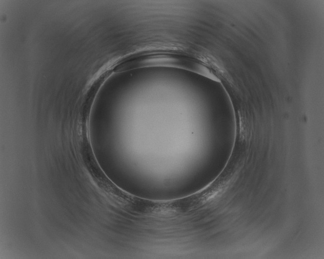 X0000074320348200608251306
