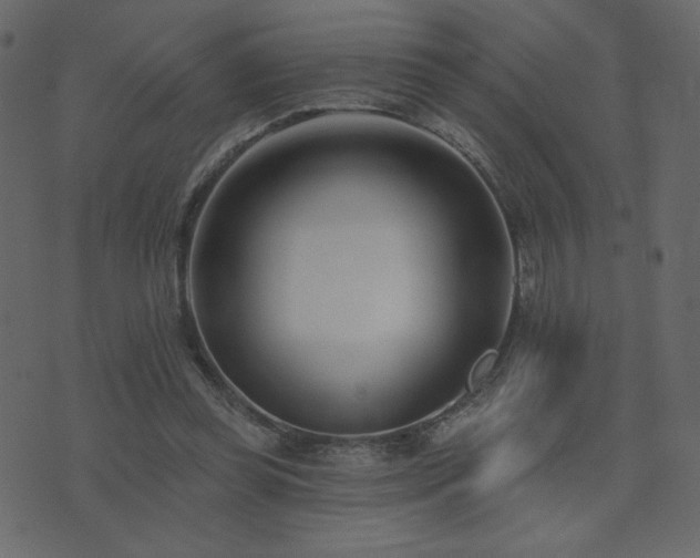 X0000074320349200608251306