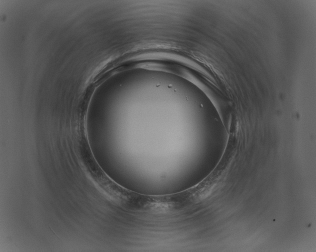 X0000074320352200608251306