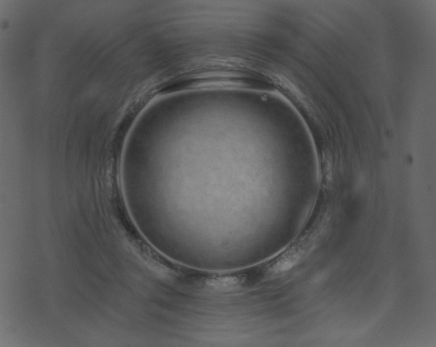 X0000074320357200608251306