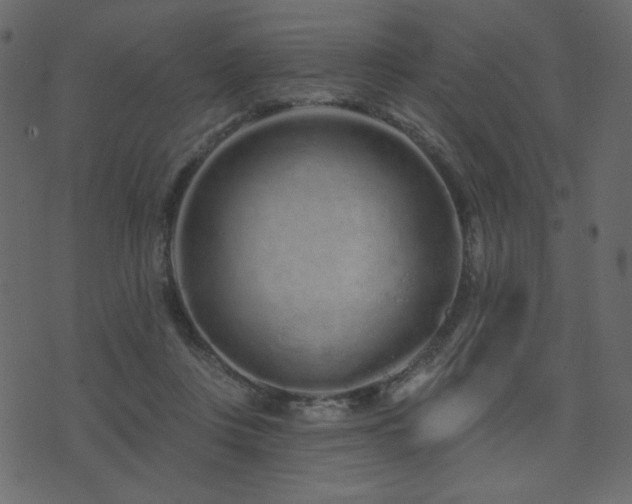 X0000074320359200608251306