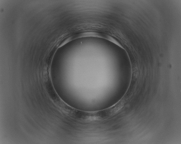X0000074320360200608251306