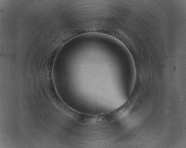 X0000074320366200608251306