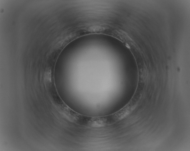 X0000074320368200608251307