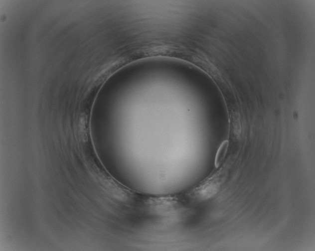 X0000074320378200608251307