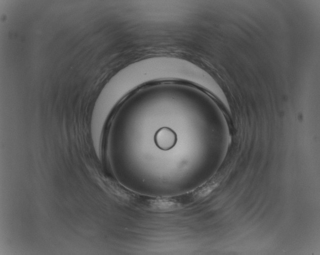 X0000074320380200608251307