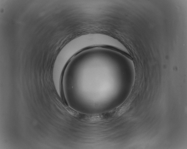 X0000074320384200608251307
