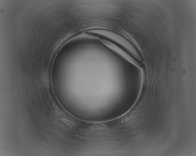 X0000074320386200608251306