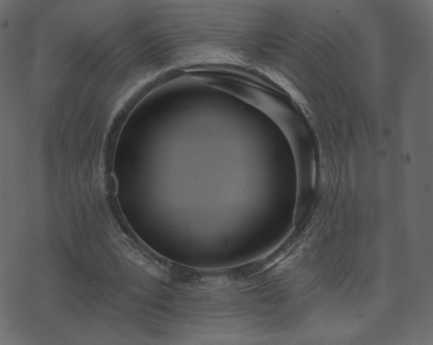 X0000074320391200608251306