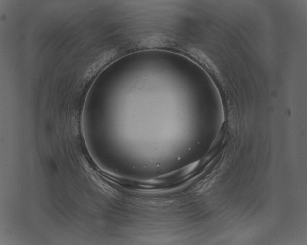X0000074320393200608251306