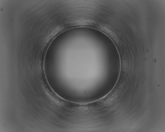 X0000074320394200608251306