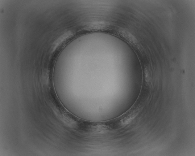 X0000074320396200608251306