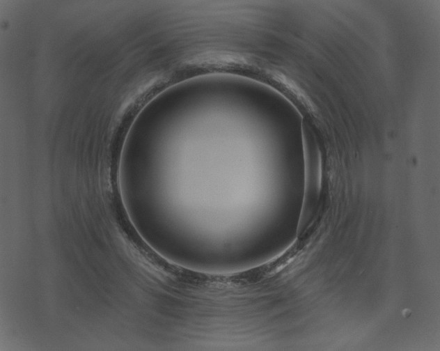 X0000074320399200608251306