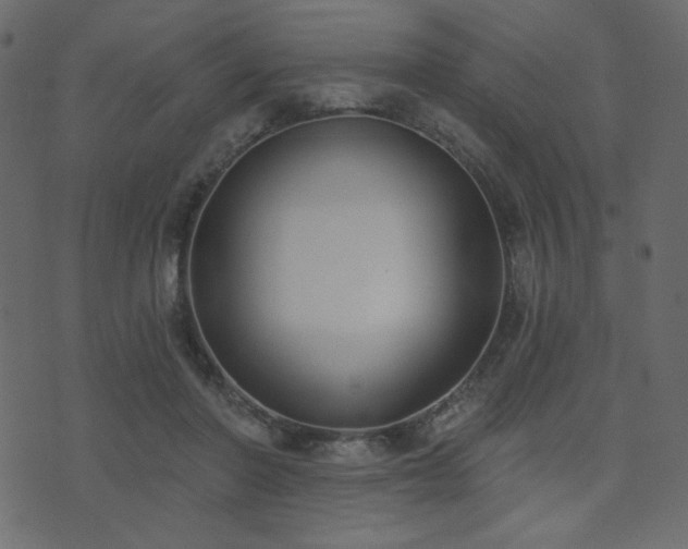 X0000074320406200608251306
