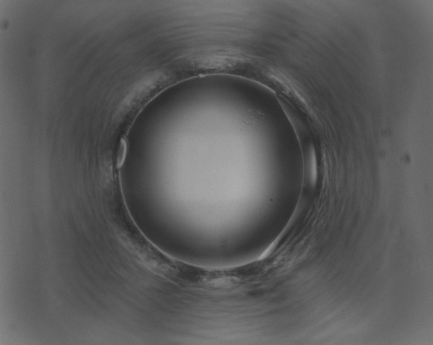 X0000074320407200608251306