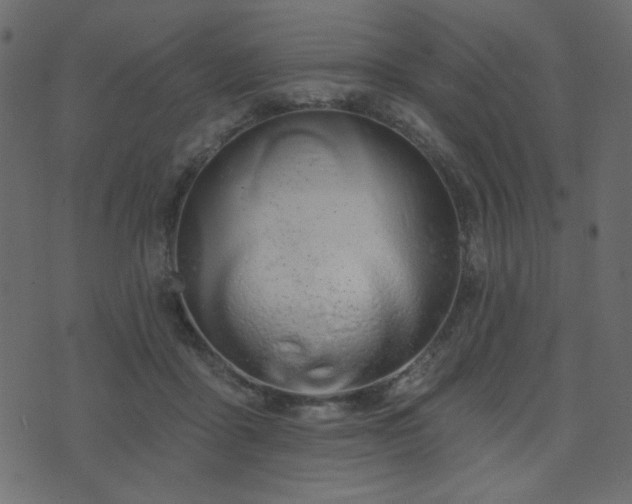 X0000074320411200608251306