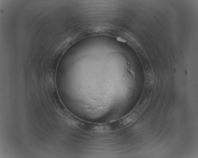 X0000074320415200608251306