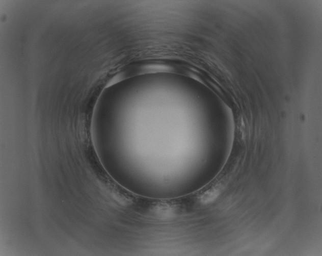 X0000074320416200608251305