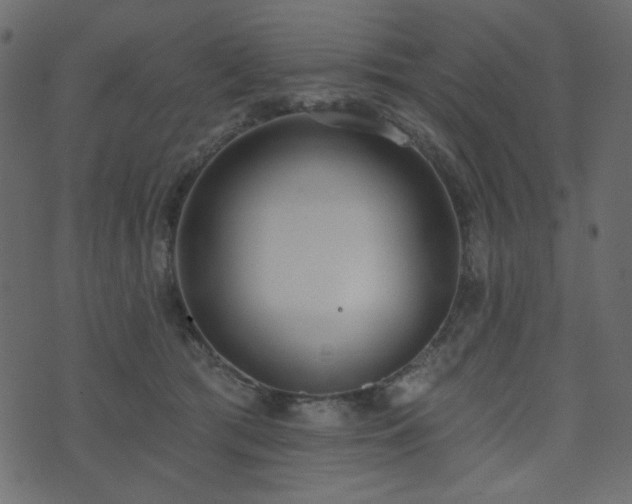 X0000074320417200608251305