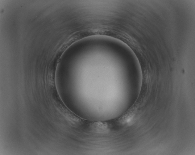 X0000074320421200608251305