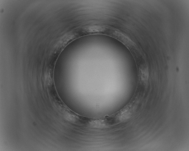 X0000074320422200608251305