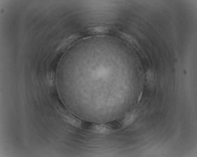 X0000074320423200608251305