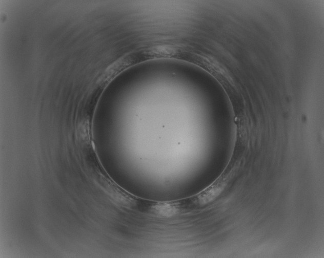 X0000074320425200608251305