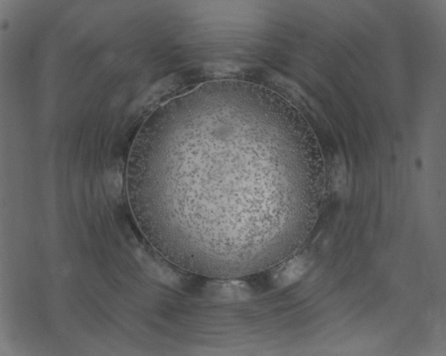 X0000074320427200608251305