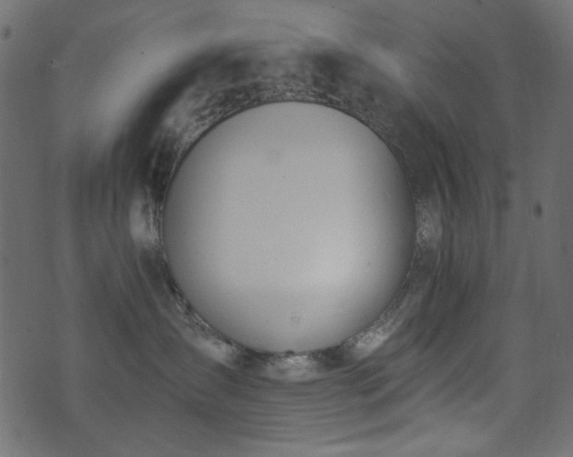 X0000074320431200608251305