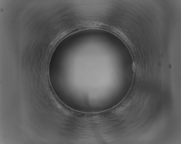 X0000074320433200608251304