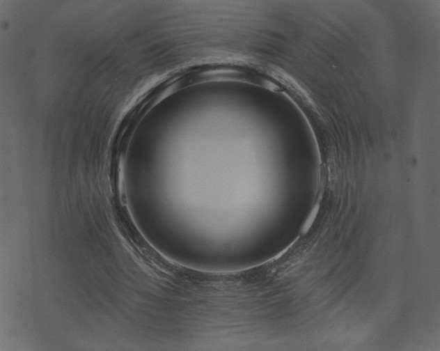 X0000074320436200608251304