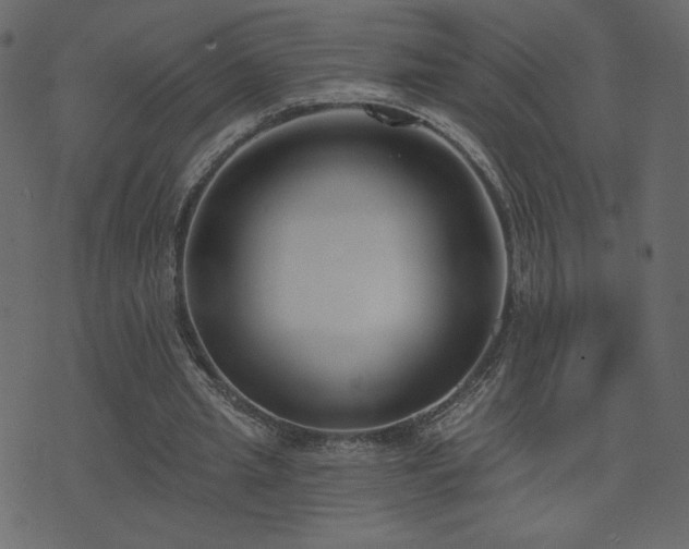 X0000074320437200608251305