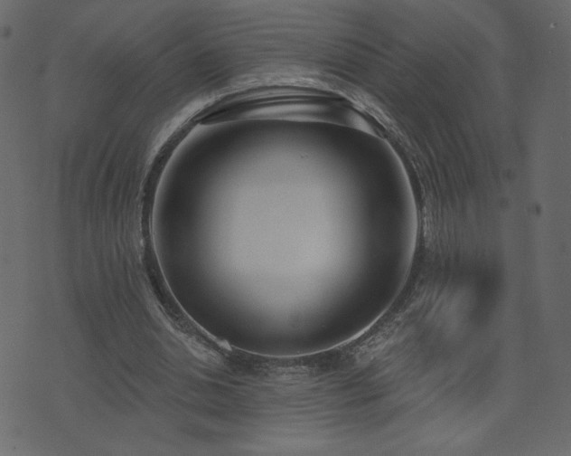 X0000074320438200608251305