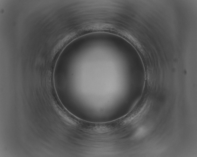 X0000074320445200608251305