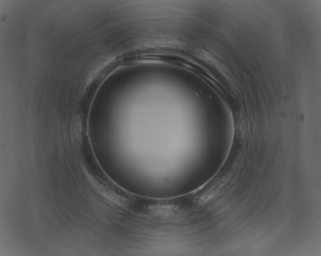 X0000074320448200608251305