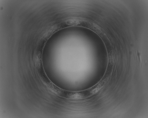 X0000074320460200608251305